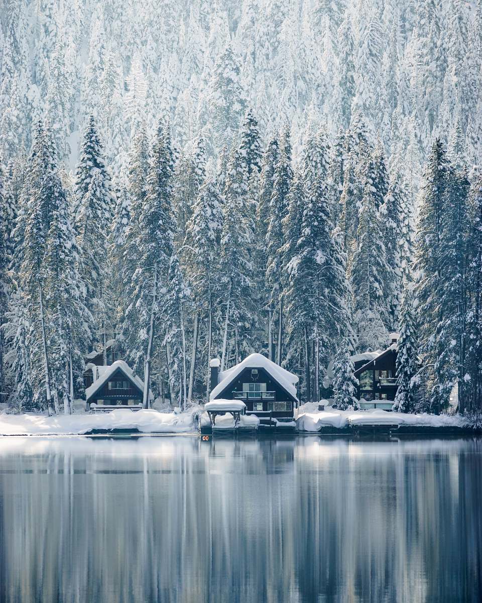 truckee houses covered with snow near trees winter